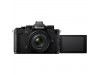 Nikon Zf Mirrorless Camera with 40mm Lens